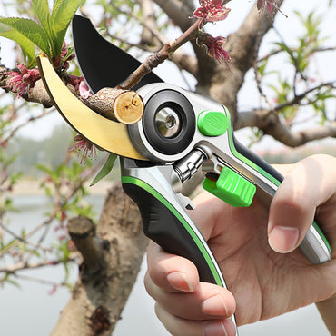Pruning Shears with Safety Lock